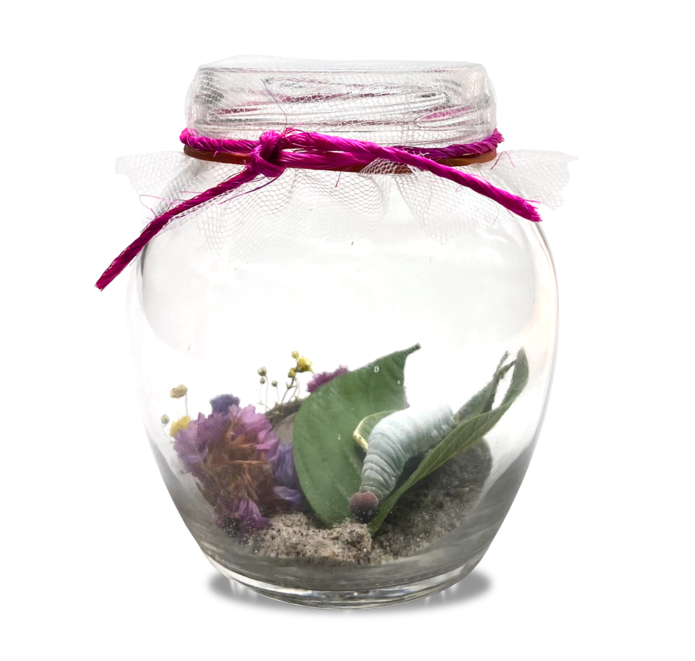 Frasco con crisálida para aprendizaje interactivo